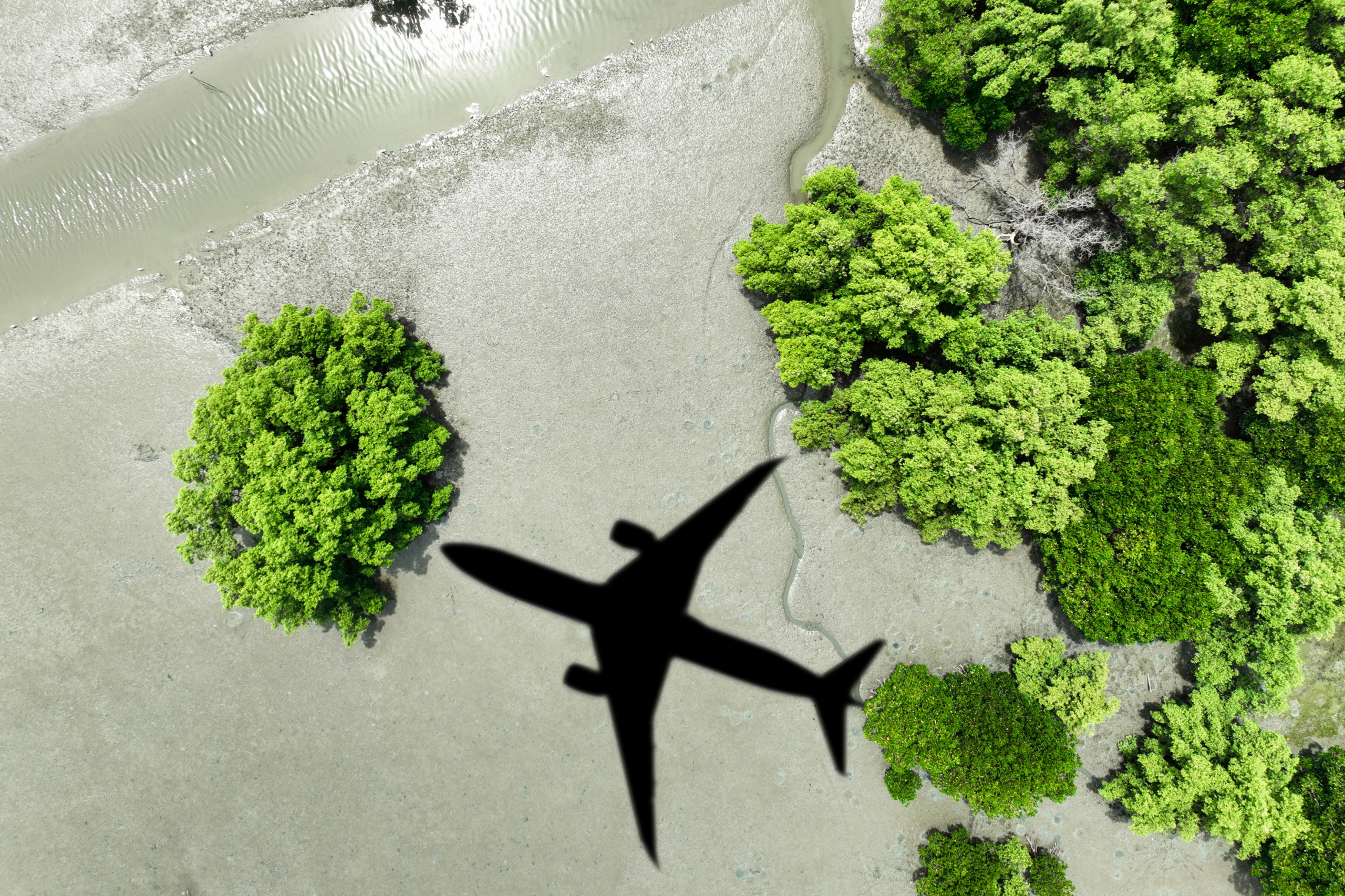 Sombra de un avión sobrevolando manglares, representando la huella de carbono de los viajes de empresa